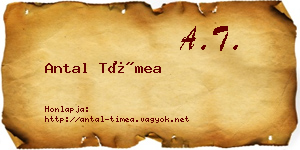 Antal Tímea névjegykártya
