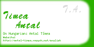 timea antal business card